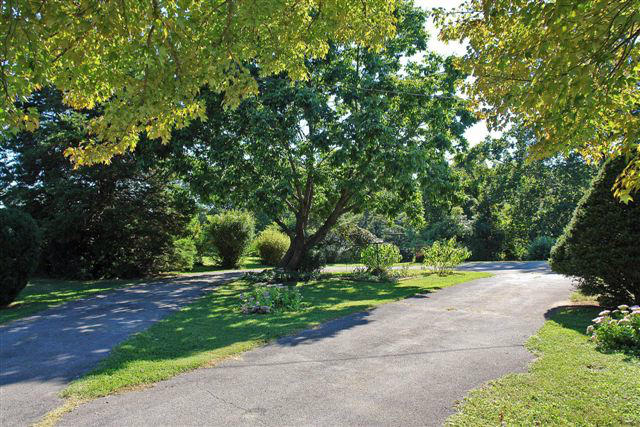 285 Blue Ridge Drive Blue Ridge, VA 24064 - Photo 45 of 46 a view of street with a small yard