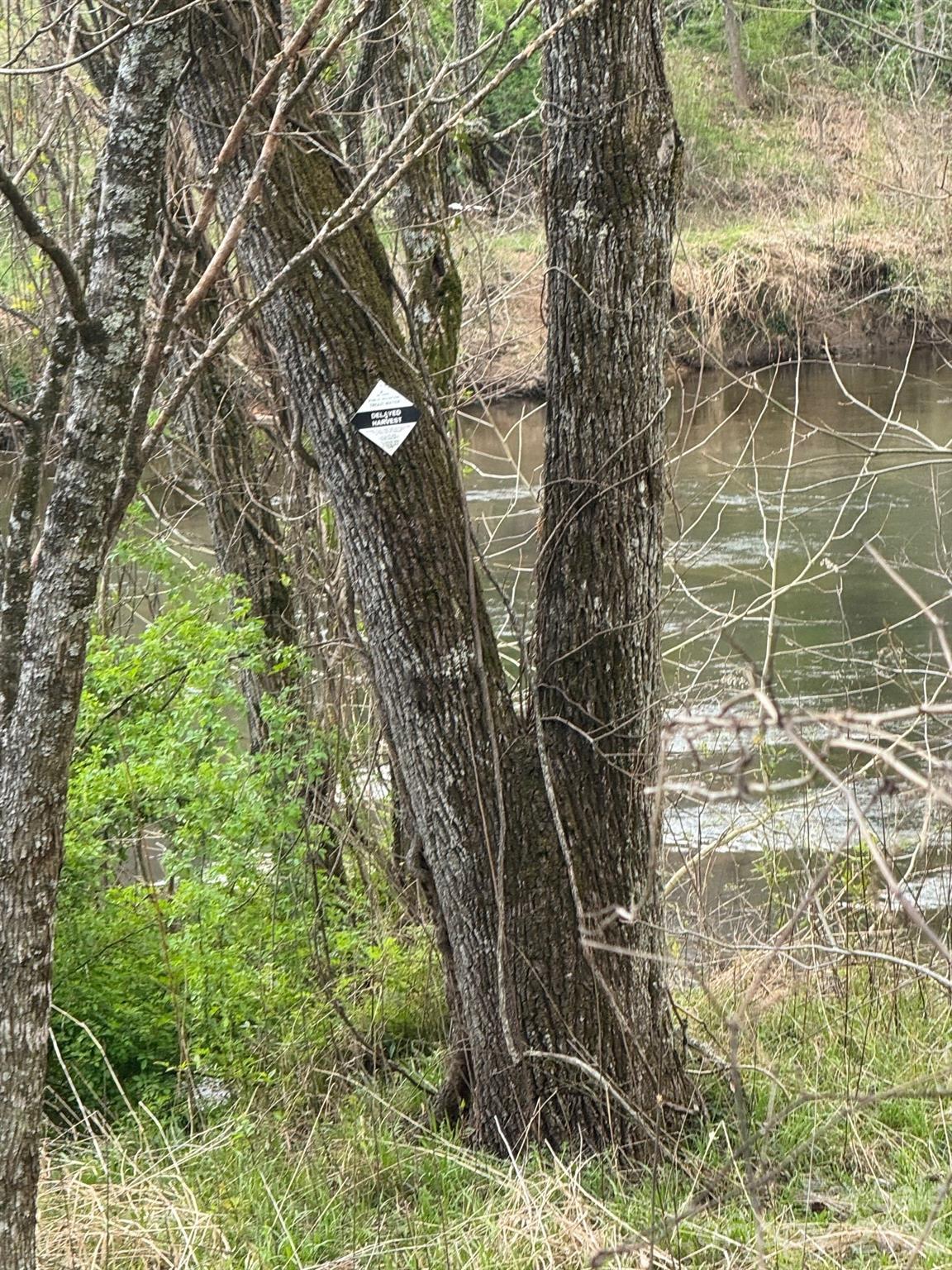 315 North River Road Sylva, NC 28779 - Photo 24 of 27