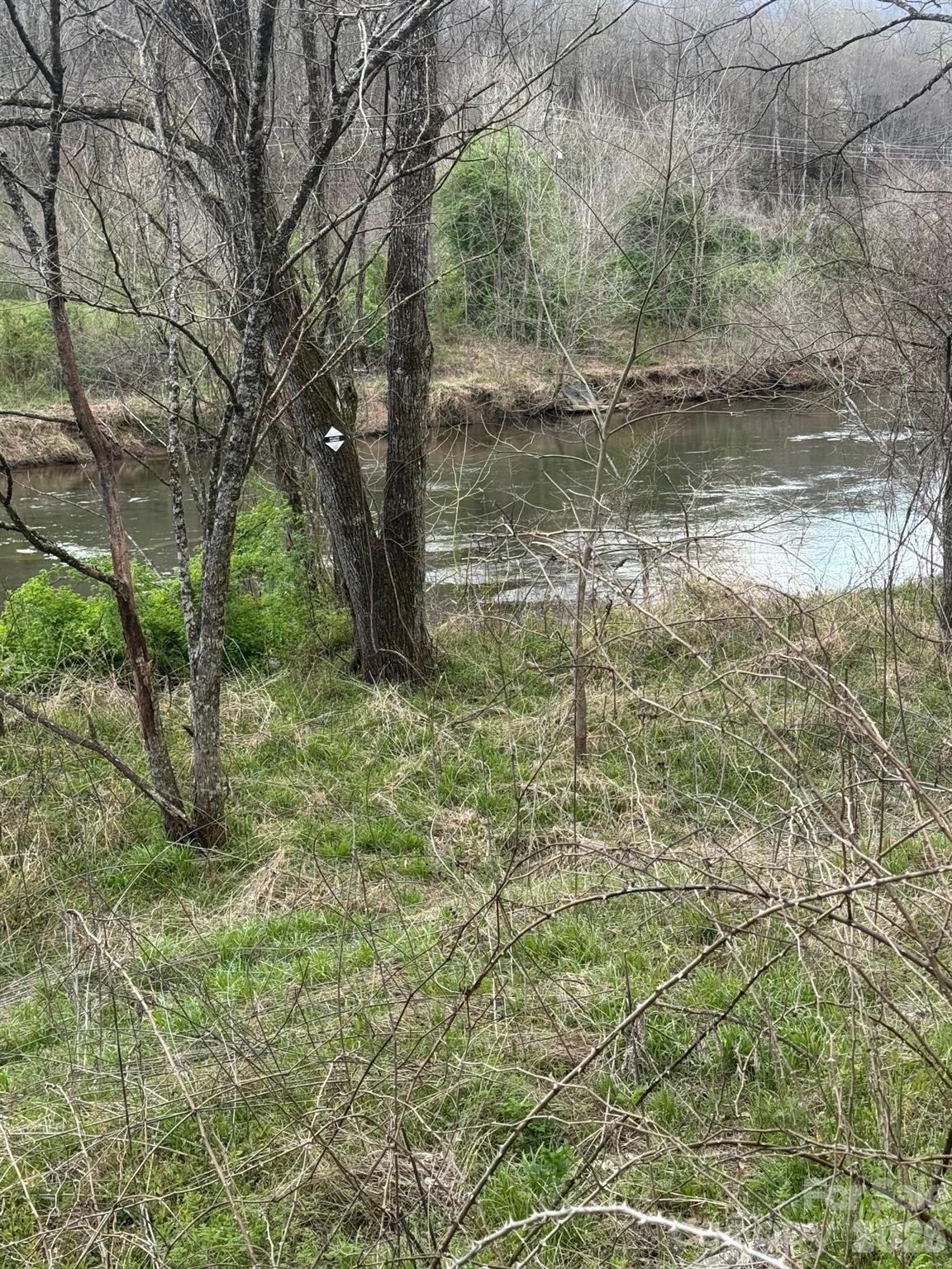 315 North River Road Sylva, NC 28779 - Photo 3 of 27