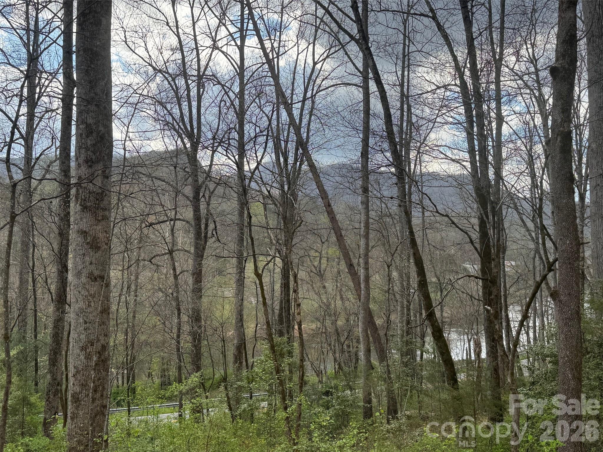 315 North River Road Sylva, NC 28779 - Photo 5 of 27