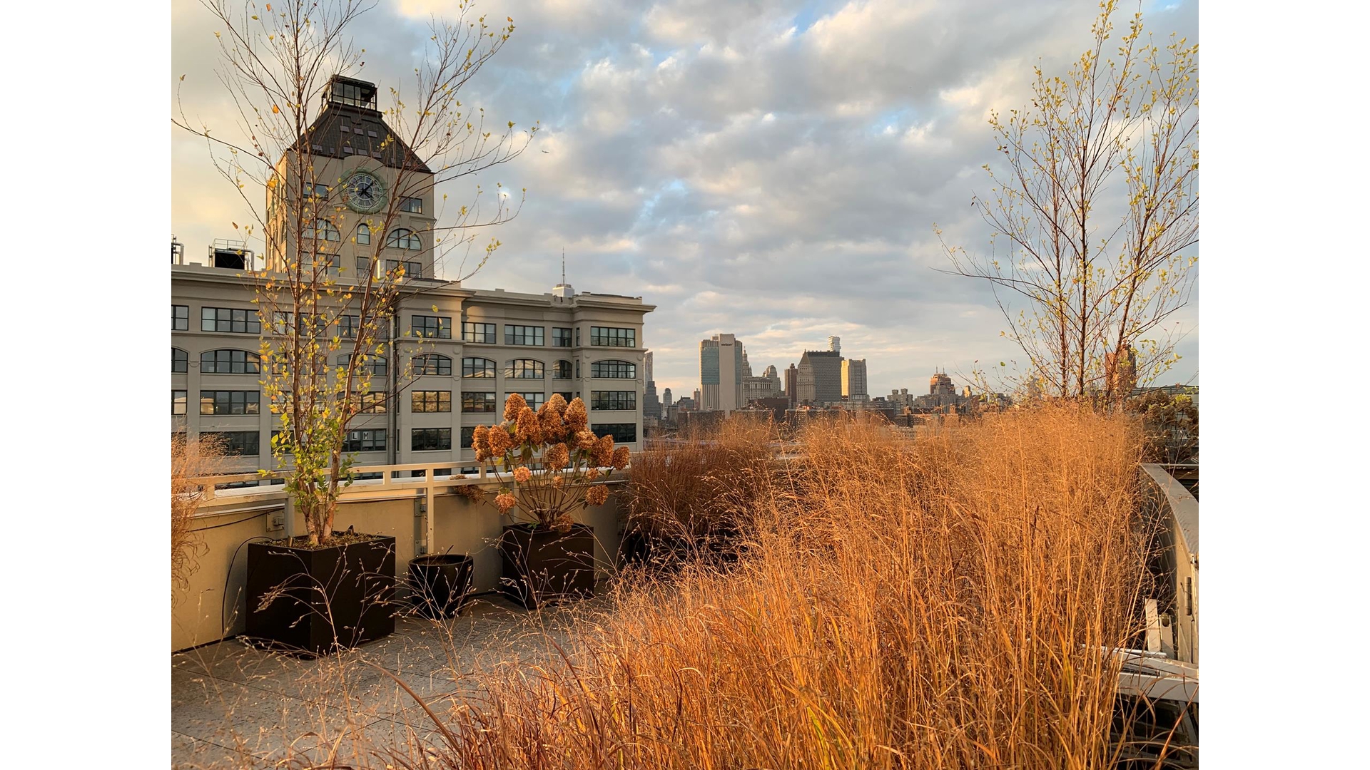 133 Water Street, Unit 2F Brooklyn, NY 11201 - Photo 20 of 48