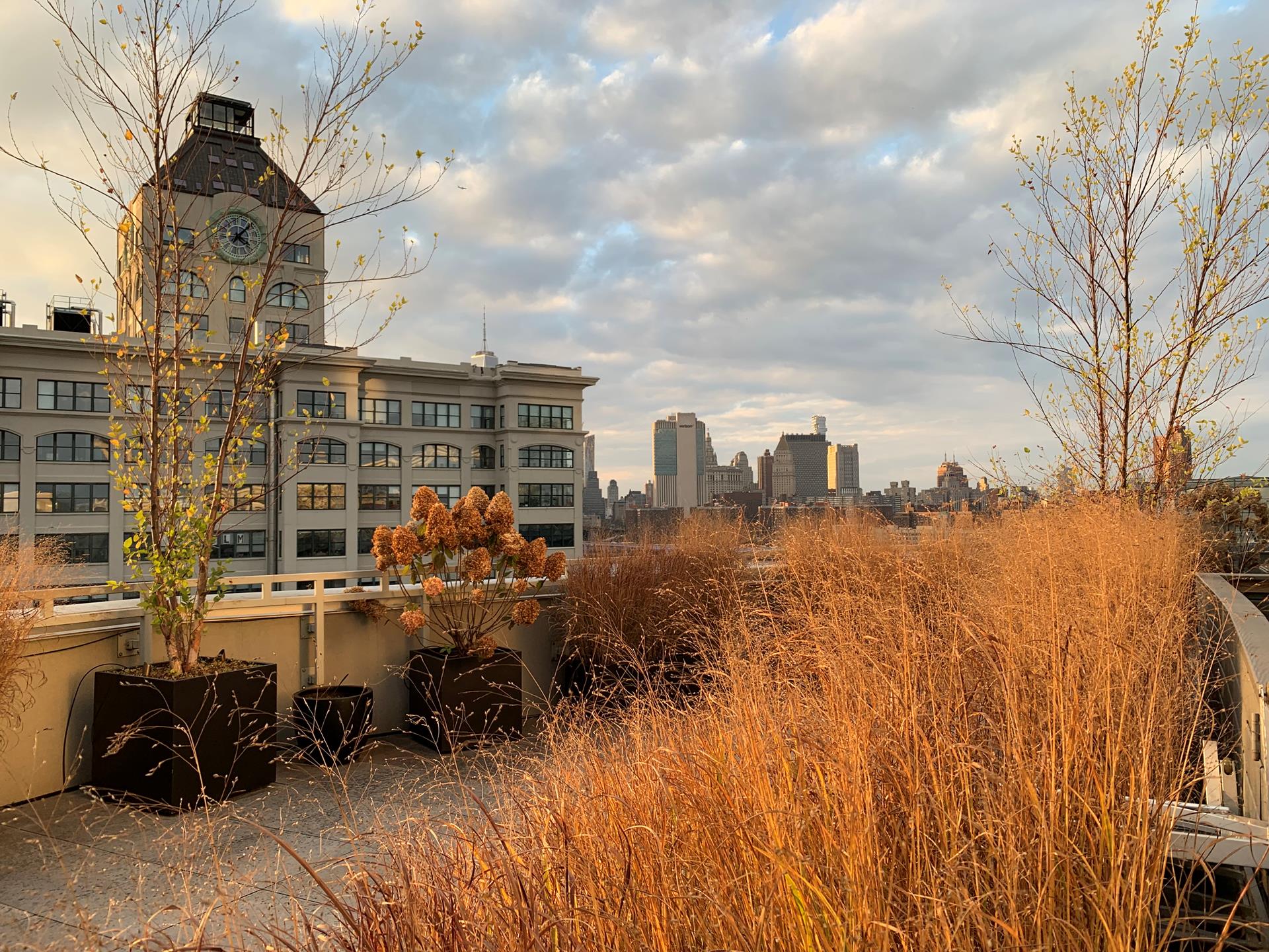 133 Water Street, Unit 2F Brooklyn, NY 11201 - Photo 47 of 48