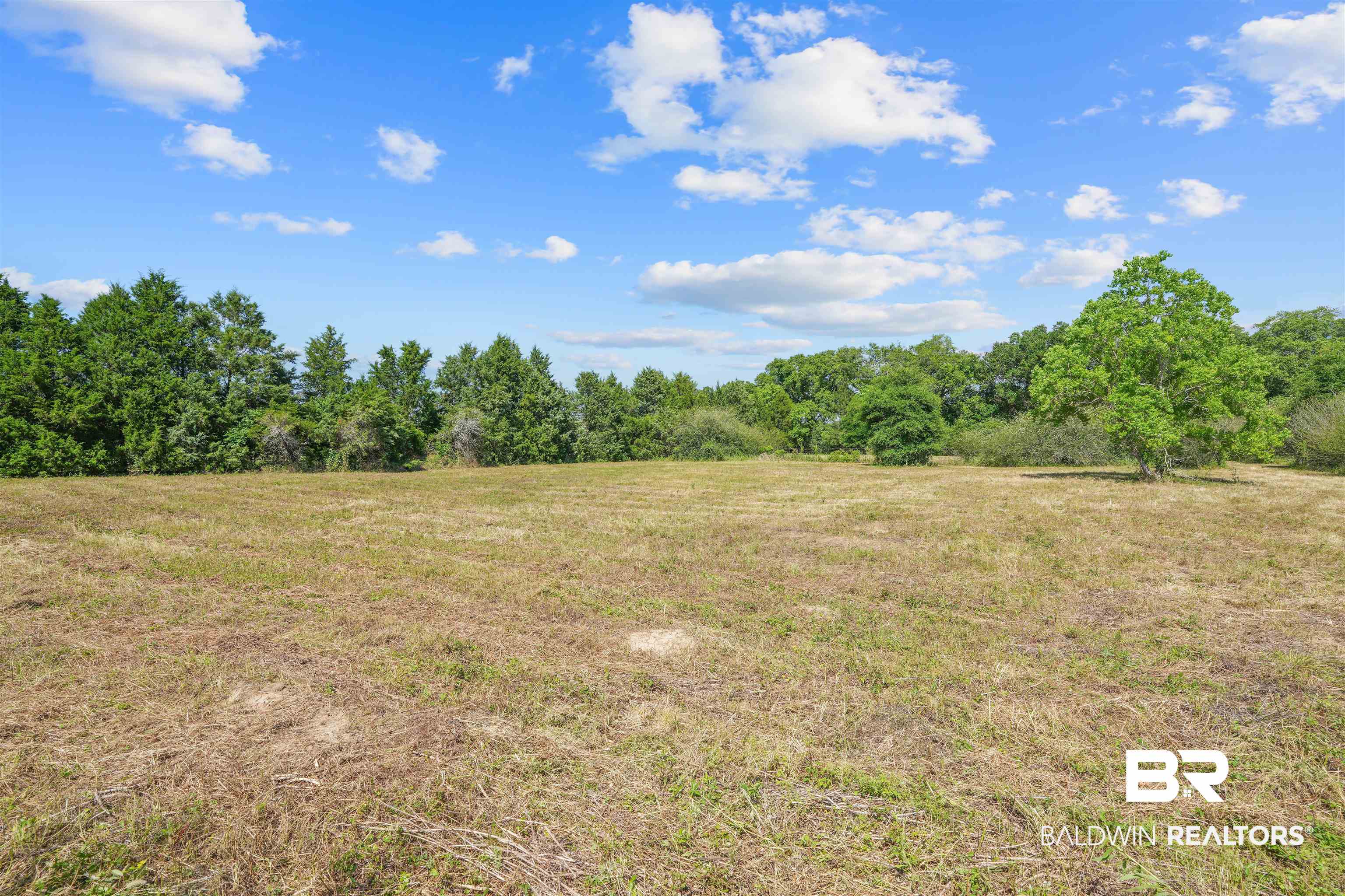 13733 White Road Silverhill, AL 36576 - Photo 16 of 26