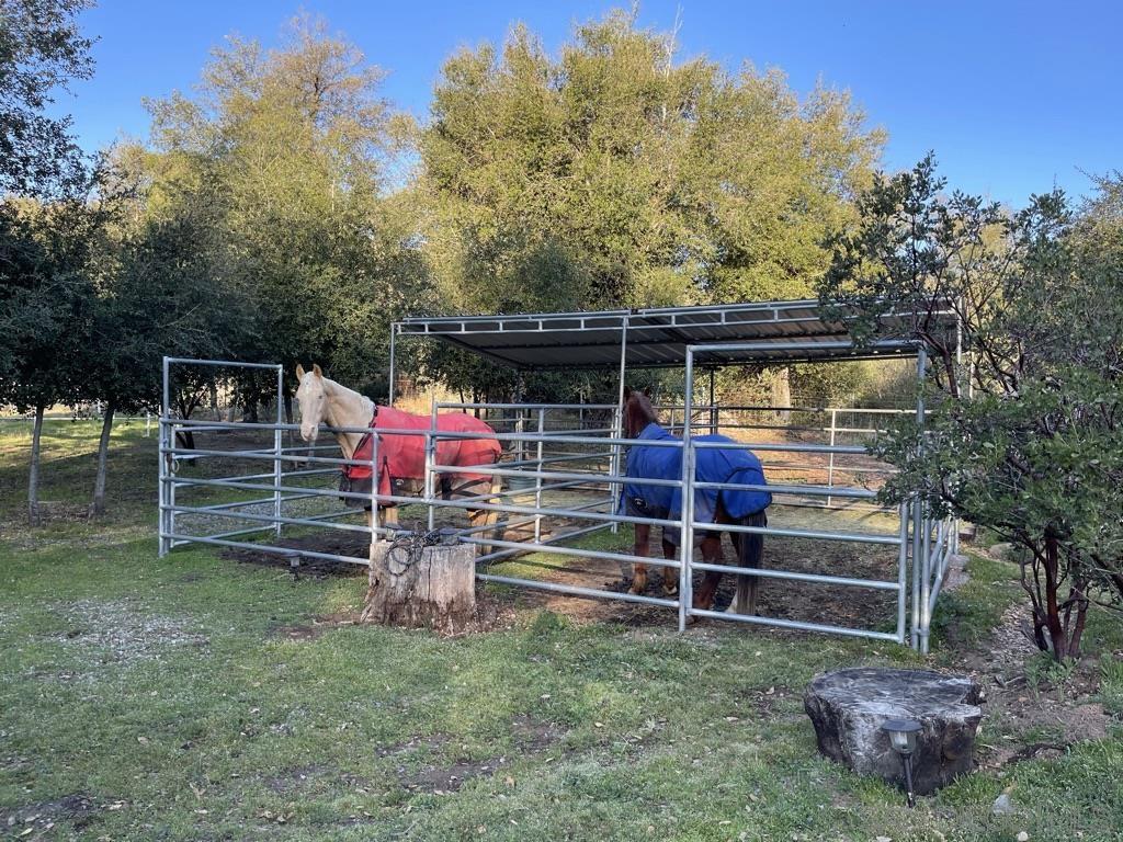 5867 Forest Meadow Road Julian, CA 92036 - Photo 21 of 36 a view of backyard with wooden fence and a large tree
