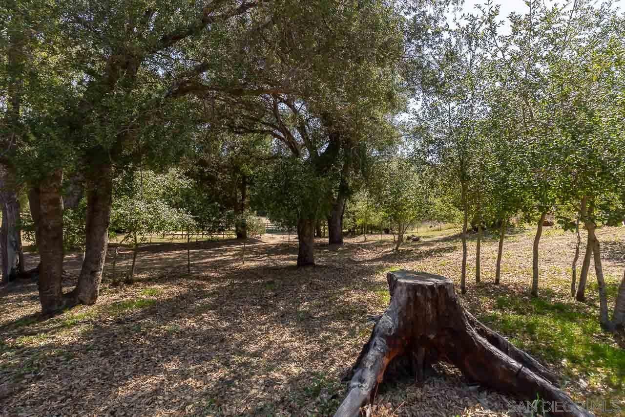 5867 Forest Meadow Road Julian, CA 92036 - Photo 23 of 36 a view of a yard with trees
