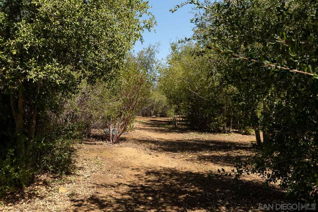 5867 Forest Meadow Road Julian, CA 92036 - Photo 24 of 36 a view of a yard with large trees