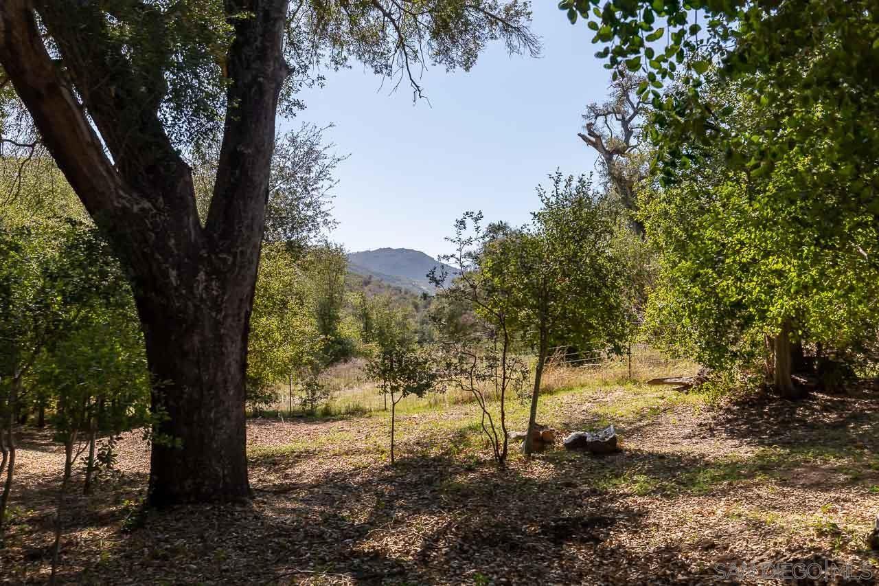 5867 Forest Meadow Road Julian, CA 92036 - Photo 26 of 36 a view of a tree in the middle of a yard