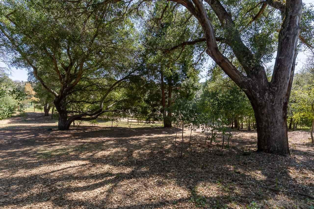5867 Forest Meadow Road Julian, CA 92036 - Photo 28 of 36 a view of dirt yard with a tree