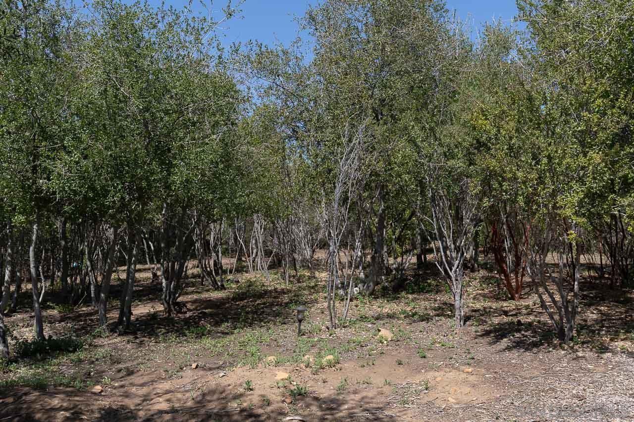 5867 Forest Meadow Road Julian, CA 92036 - Photo 32 of 36 a view of outdoor space with lots of trees