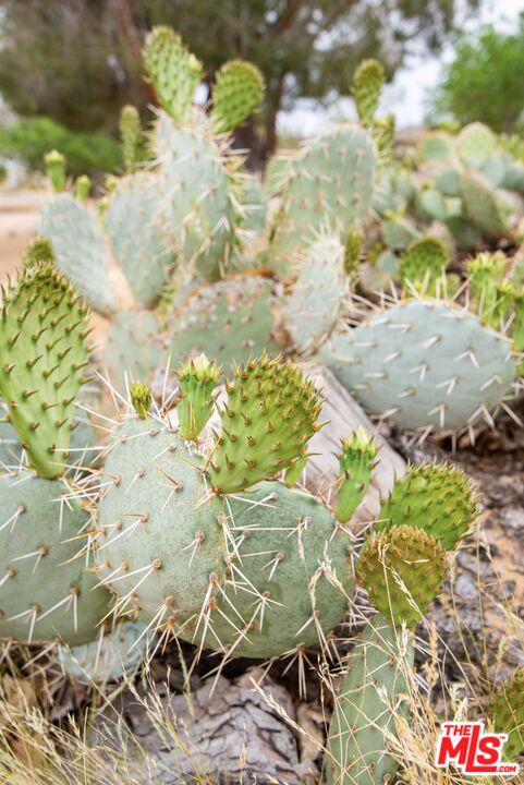 6942 Sunnyhill Road Joshua Tree, CA 92252 - Photo 32 of 32