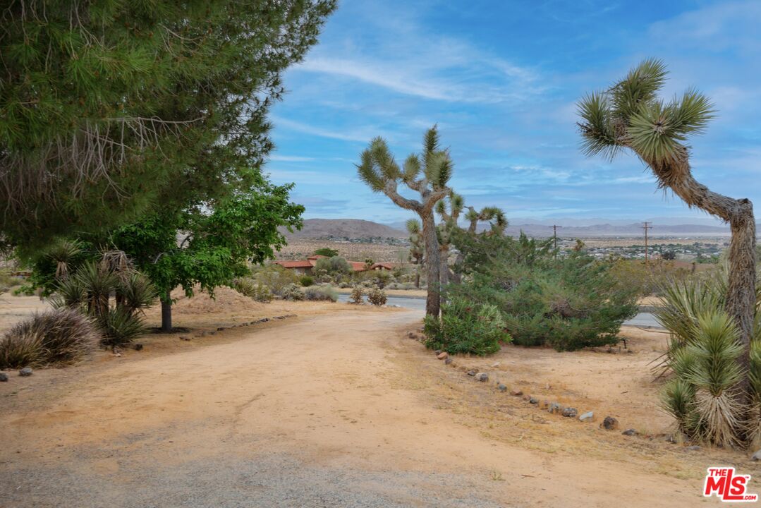 6942 Sunnyhill Road Joshua Tree, CA 92252 - Photo 8 of 32