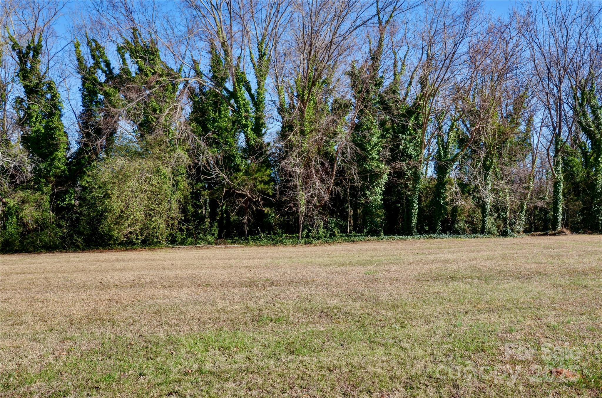 Tbd John Street, Unit 2 3 4 Monroe, NC 28110 - Photo 4 of 9 a view of an outdoor space and yard