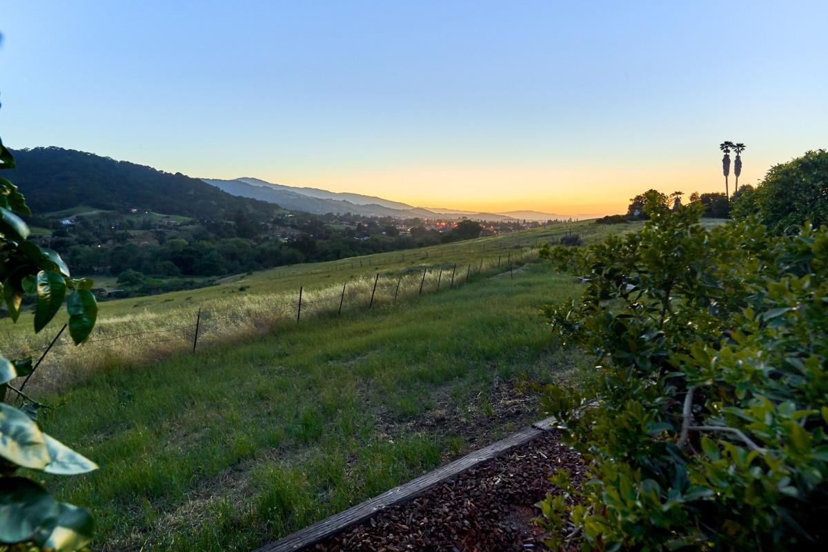 20421 Hunter's Hill Road San Jose, CA 95120 - Photo 47 of 50 a view of a lush green space with sea