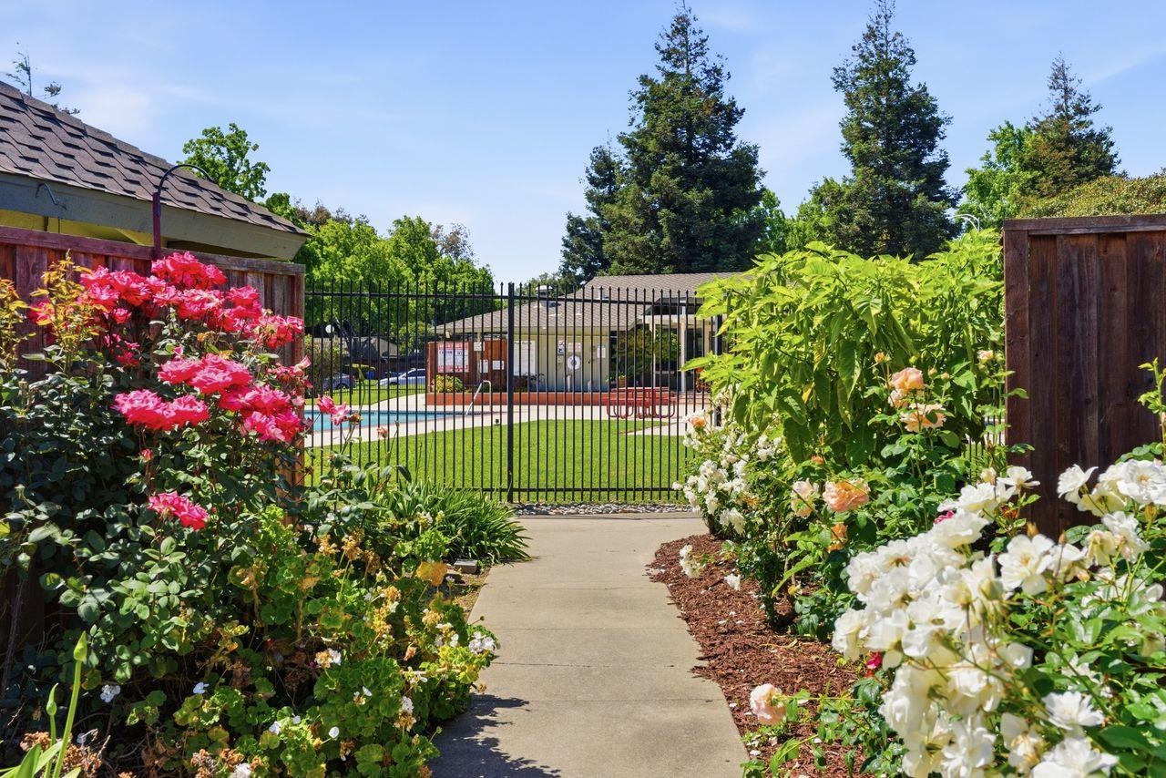 5561 Roundtree Common Fremont, CA 94538 - Photo 29 of 29 a view of a garden with flowers