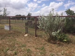 6920 Elephant Road Lubbock, TX 79407 - Photo 6 of 10 Photo 6