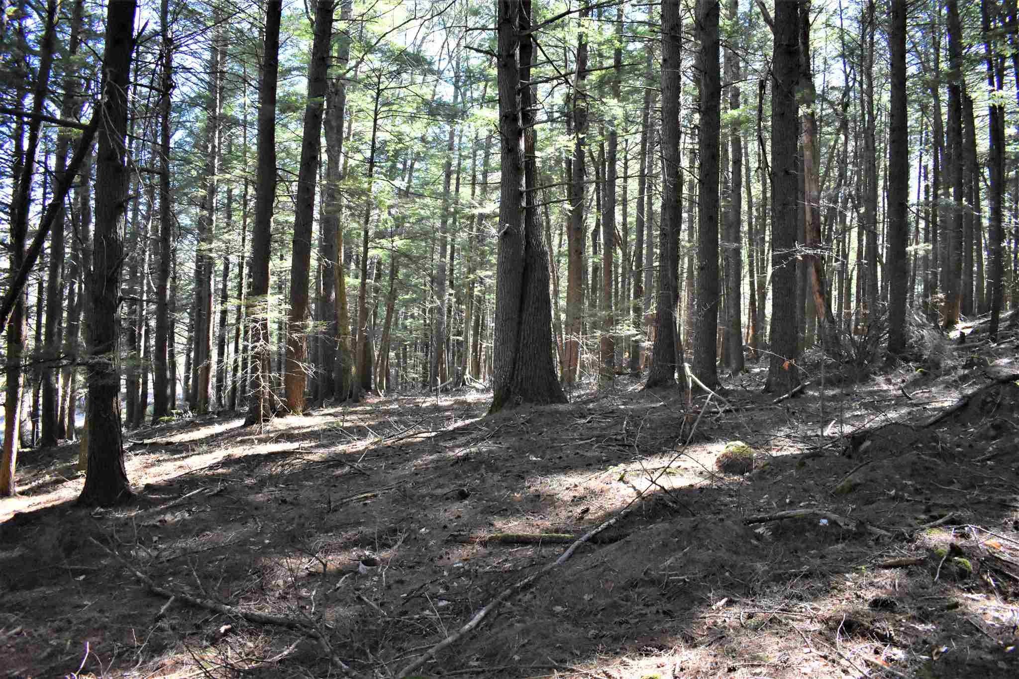 Frye Road Moultonborough, NH 03254 - Photo 5 of 10 Gallery Image 5