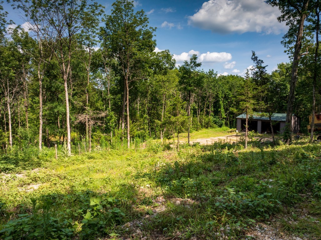 0 McElroy Road Readyville, TN 37149 - Photo 12 of 19