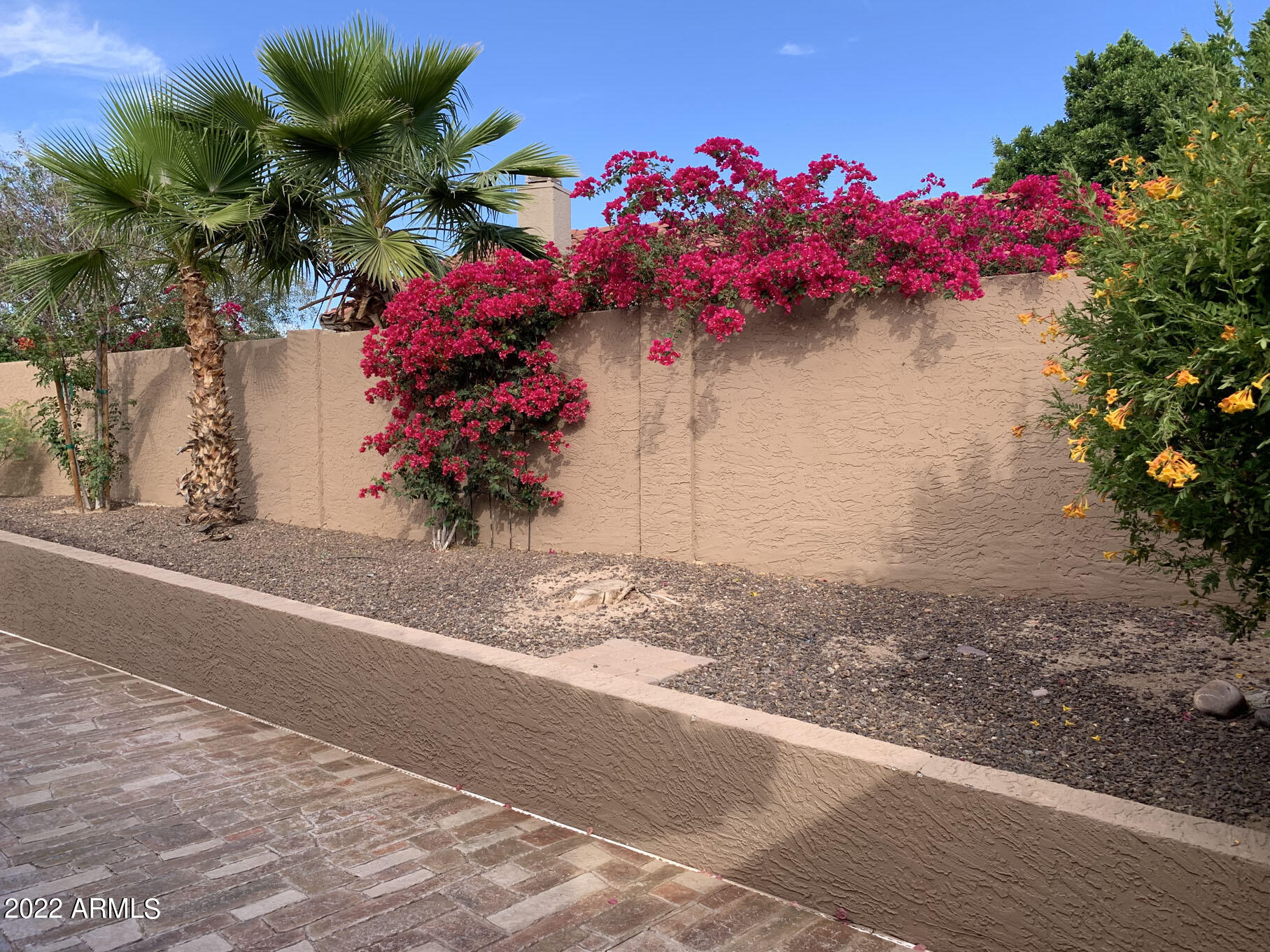 4302 East Bannock Street Phoenix, AZ 85044 - Photo 53 of 55 a vase of flowers sitting on a wooden floor