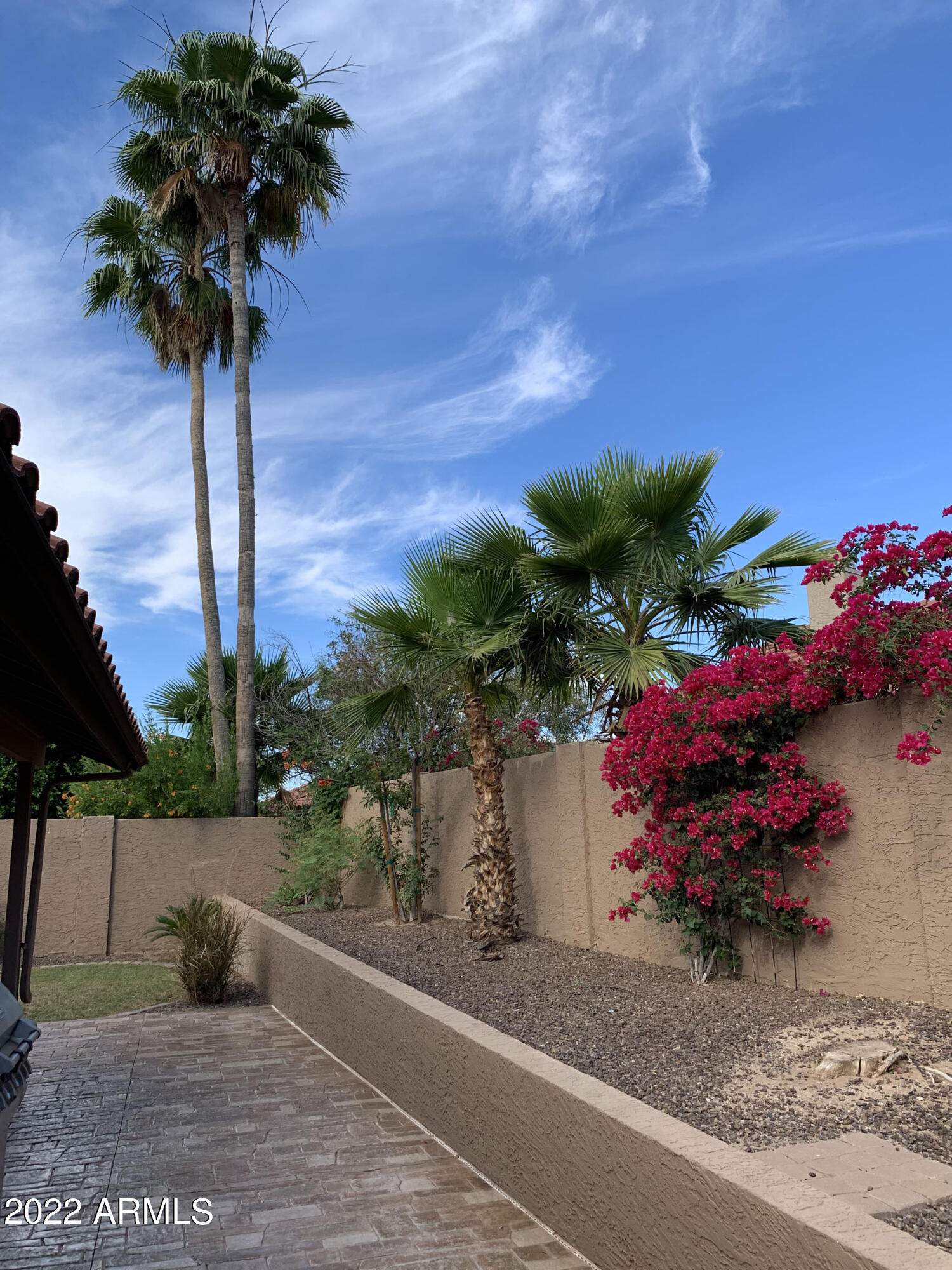 4302 East Bannock Street Phoenix, AZ 85044 - Photo 55 of 55 a flower plants with tree in front of it