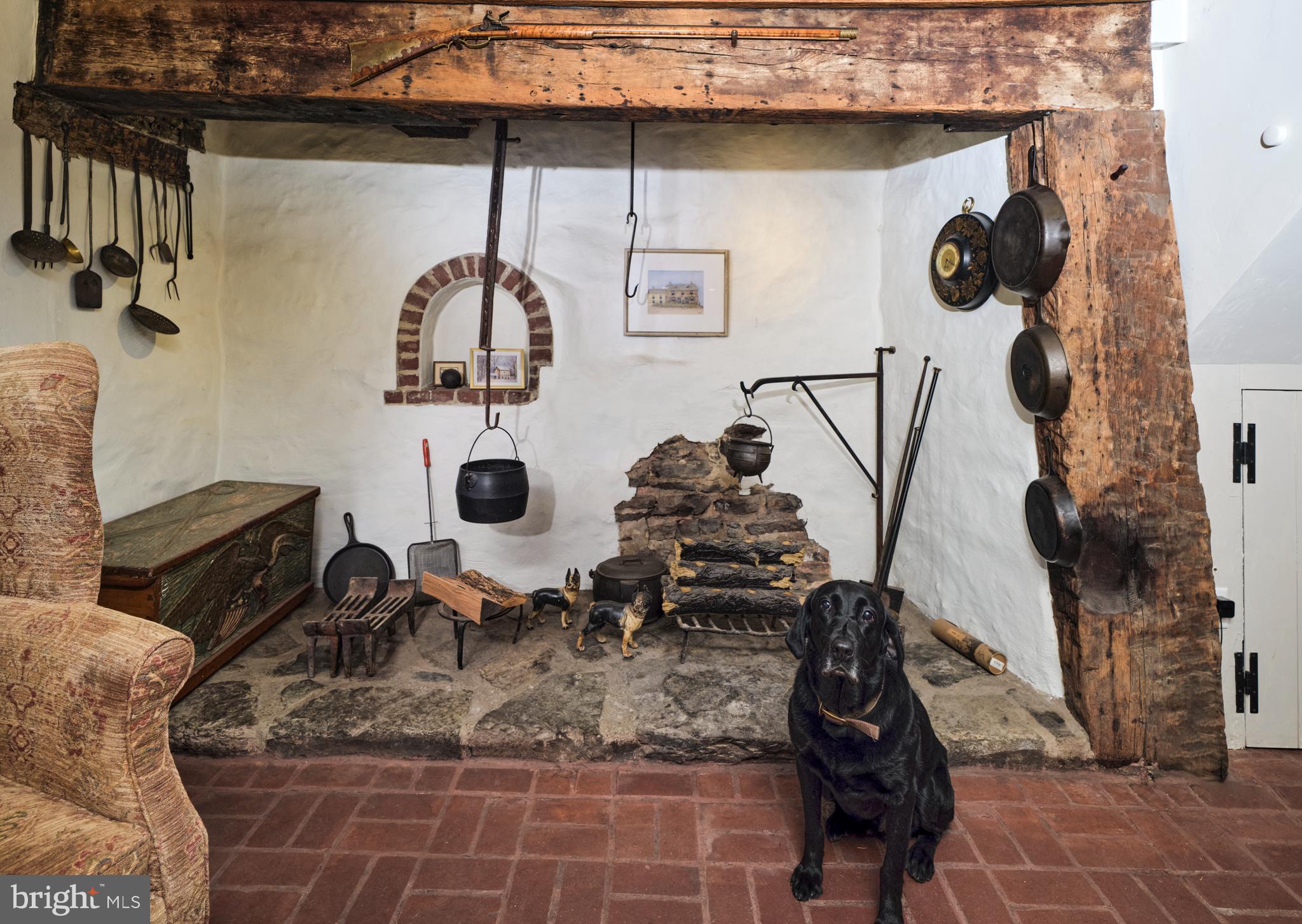 1636 River Road Upper Black Eddy, PA 18972 - Photo 32 of 57 Fireplace in Main Kitchen