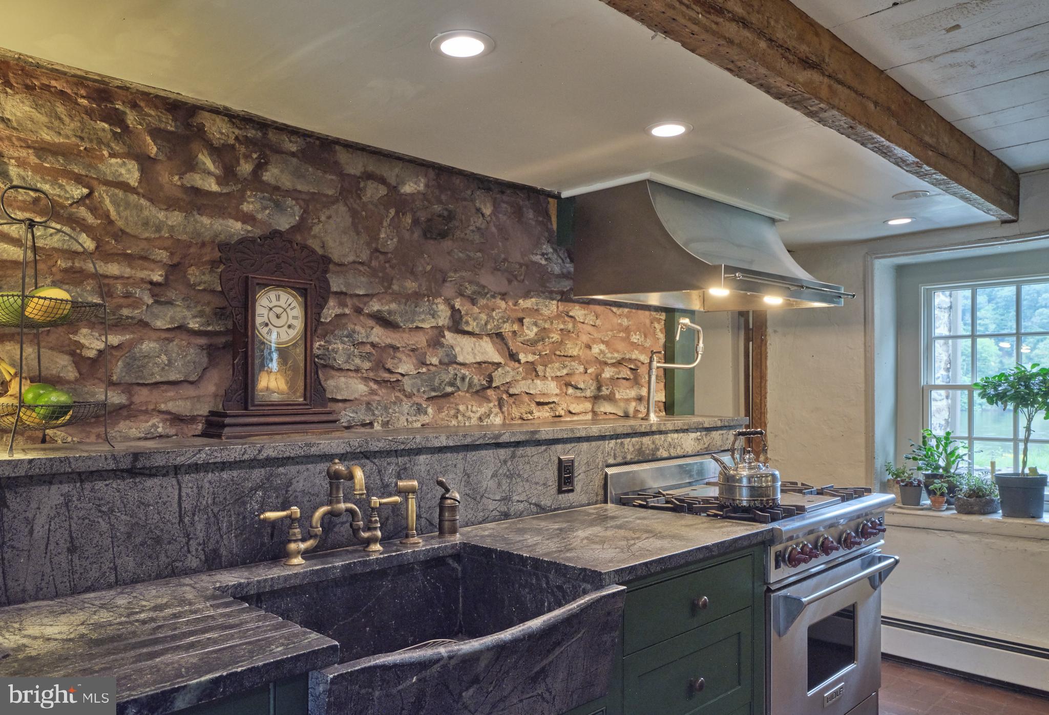 1636 River Road Upper Black Eddy, PA 18972 - Photo 34 of 57 Wolf Range w/Potfiller