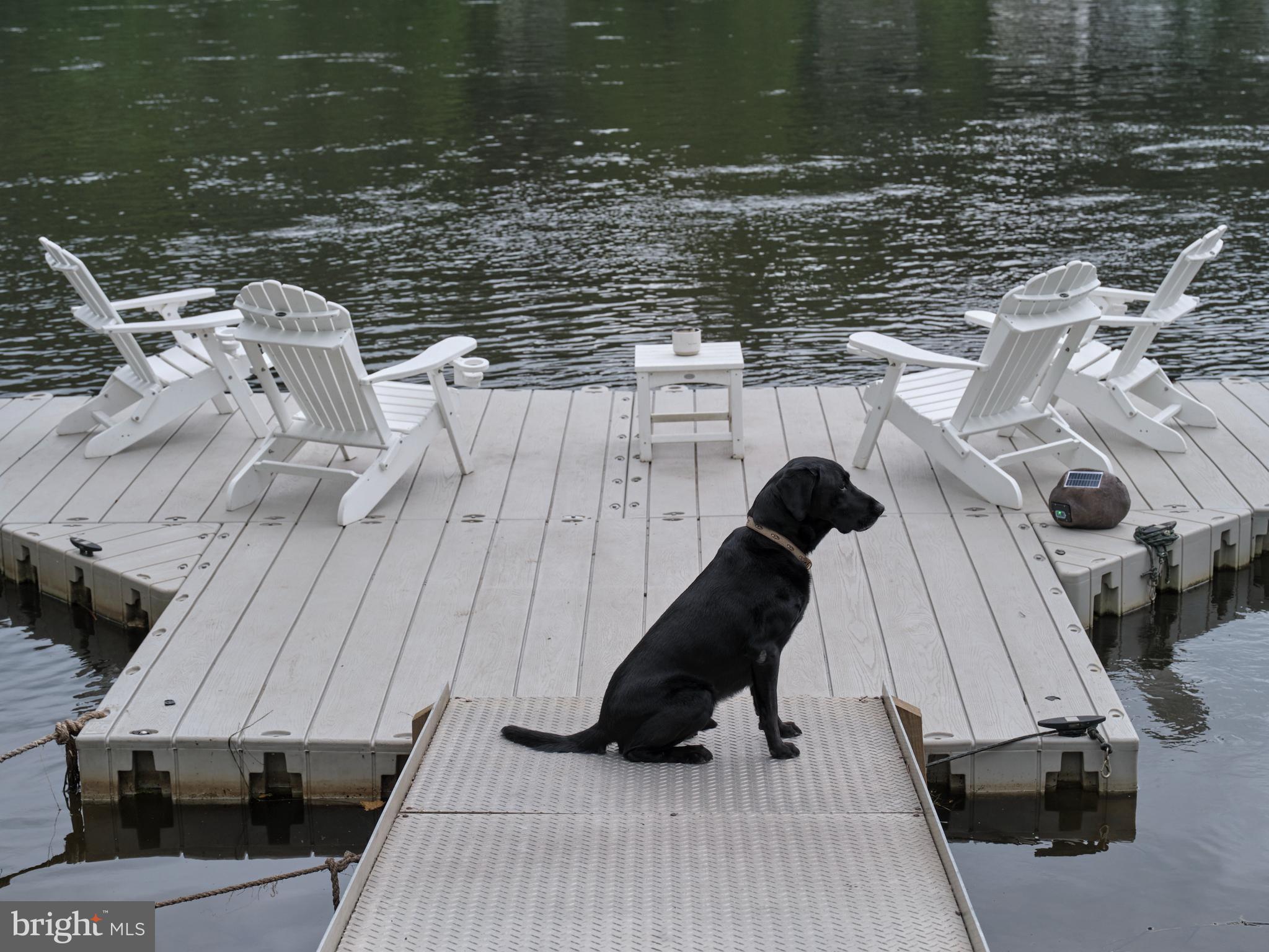 1636 River Road Upper Black Eddy, PA 18972 - Photo 54 of 57