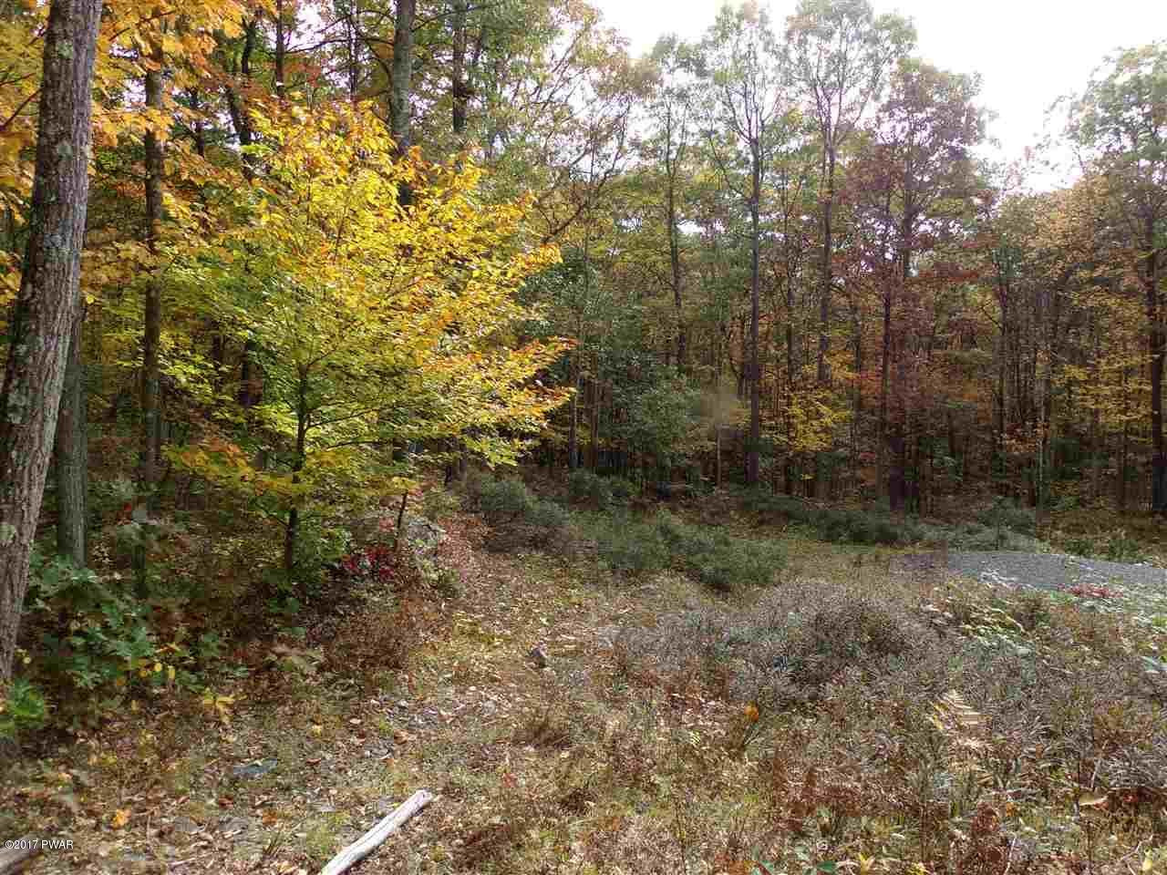 Lot 6.82 Lenni Lenape Road Narrowsburg, NY 12764 - Photo 13 of 17