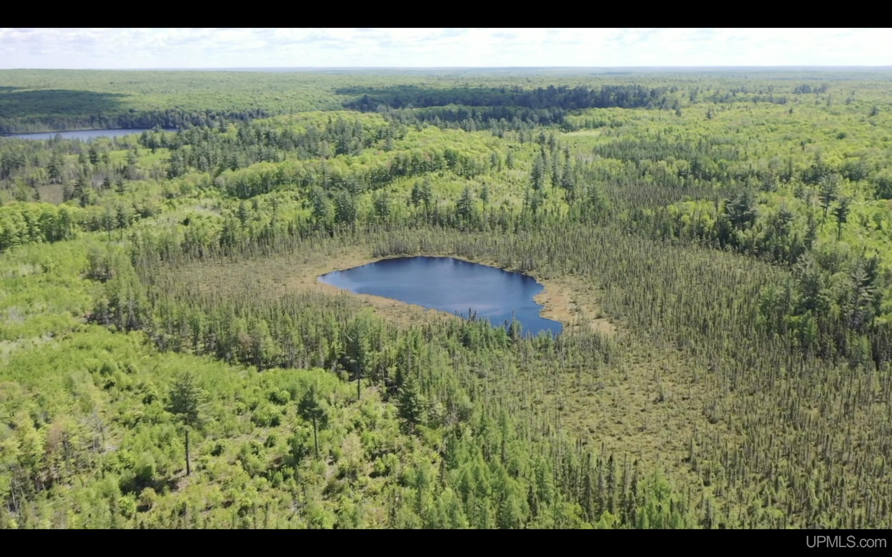 527 Usfs Road Iron River, MI 49935 - Photo 10 of 37
