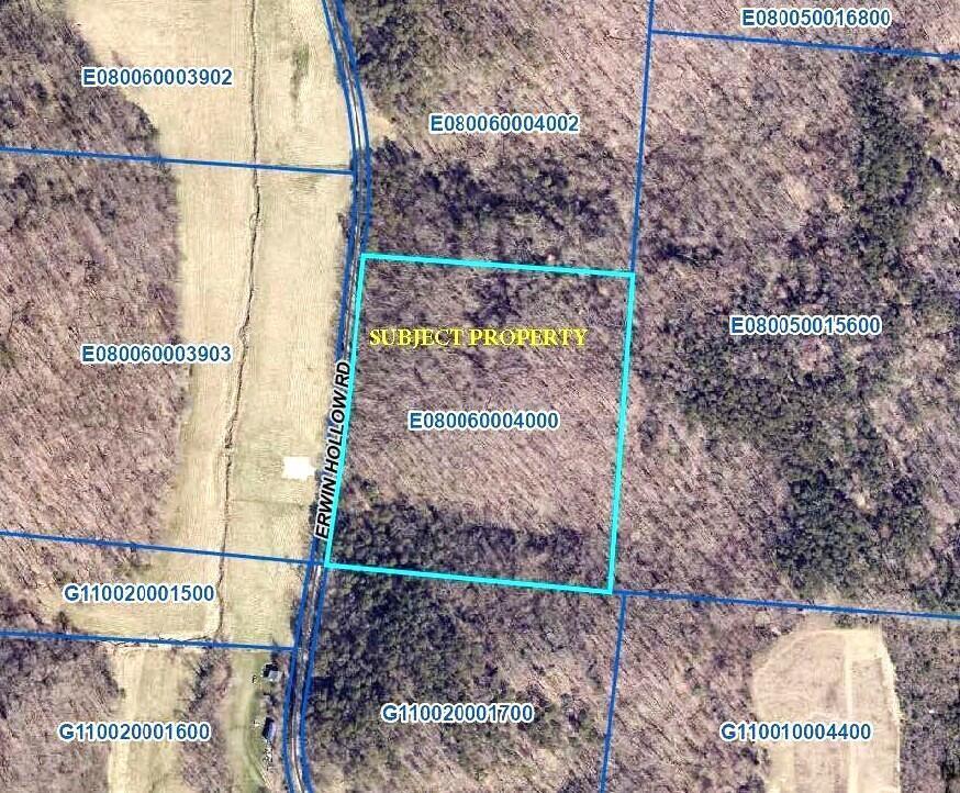 Erwin Hollow Map 1