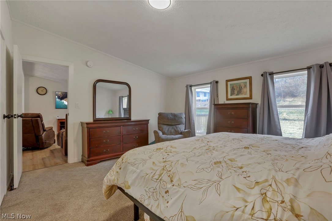 3750 Cannelville Road Roseville, OH 43777 - Photo 16 of 33 Bedroom featuring vaulted ceiling, multiple windows, and light carpet