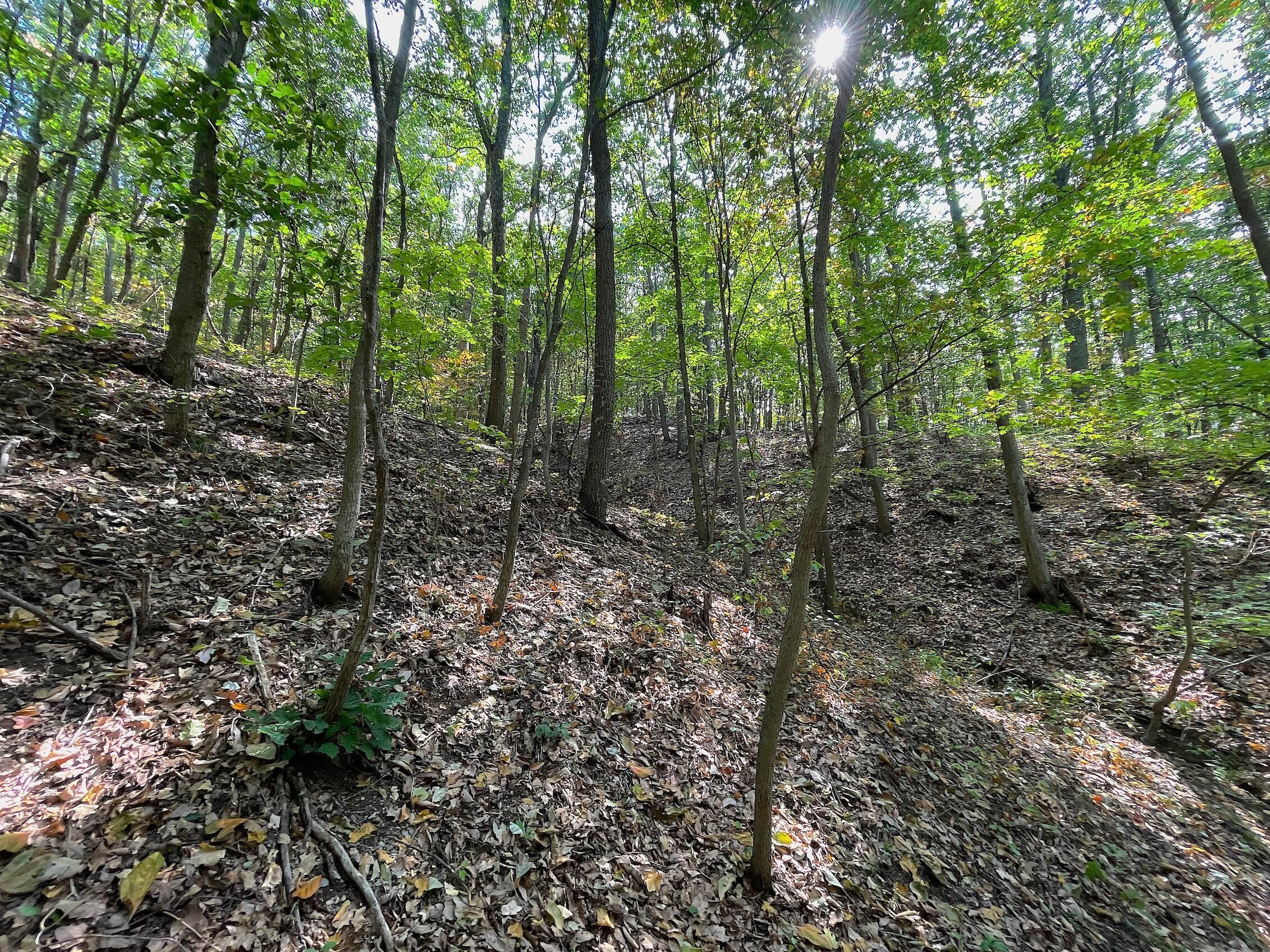 0 Porter Run Road Frankfort, OH 45628 - Photo 12 of 51 IMG_3210