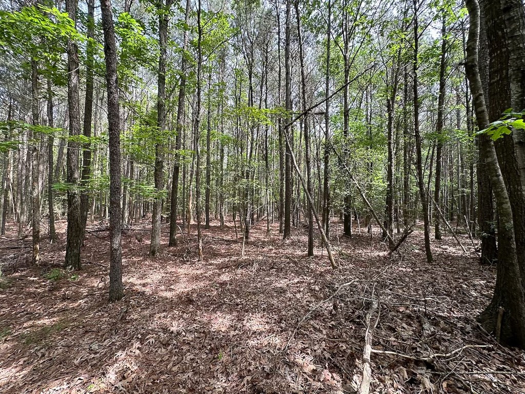 1.75-ac 1.75-ac Kegotank Road, Unit 2 Bloxom, VA 23308 - Photo 13 of 18