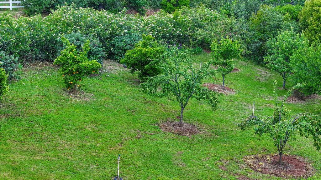 7357 Ridge Road Newcastle, CA 95658 - Photo 85 of 98