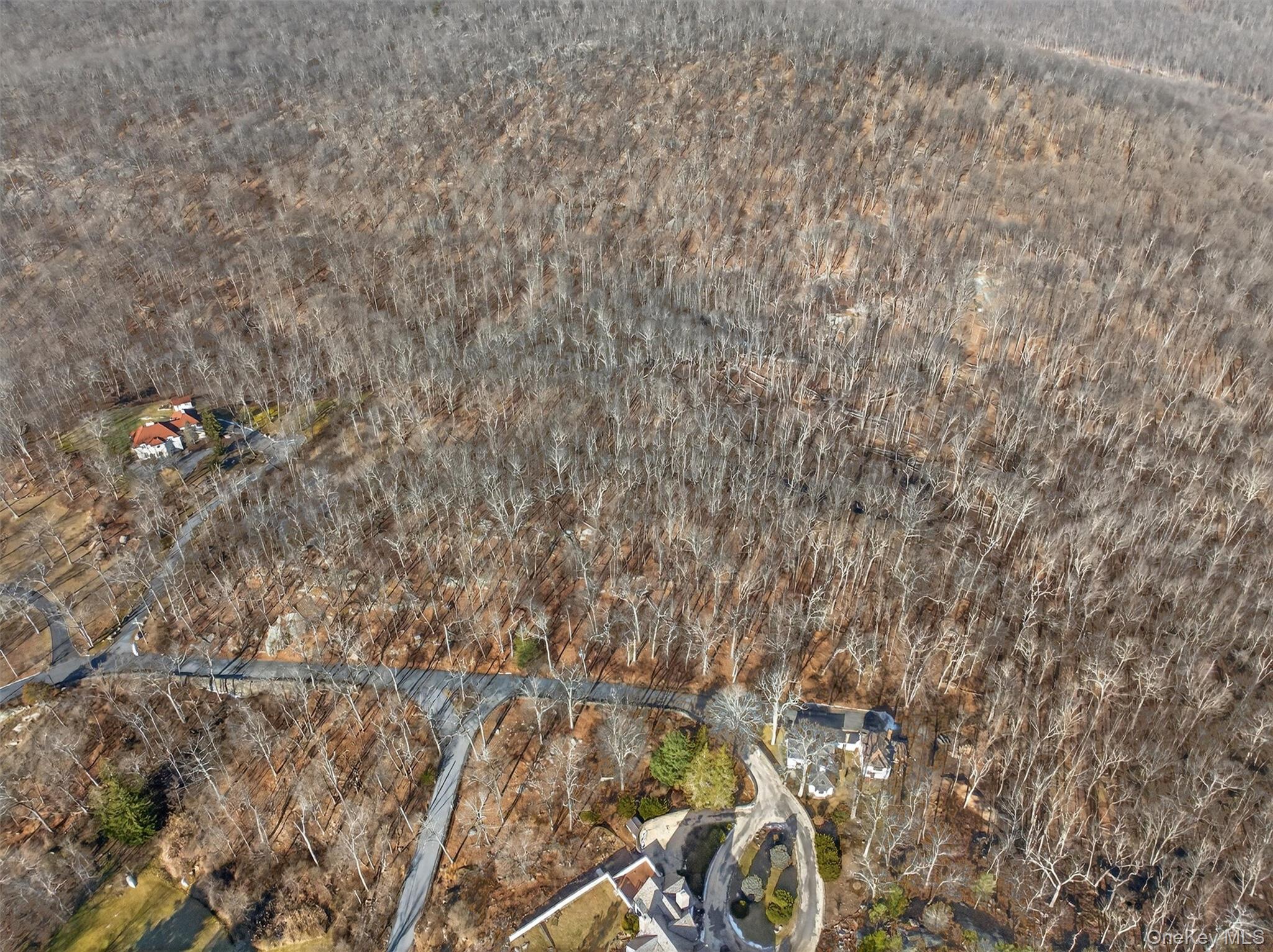 Summit Road Tuxedo Park, NY 10987 - Photo 4 of 12 Summit Road, Tuxedo Park