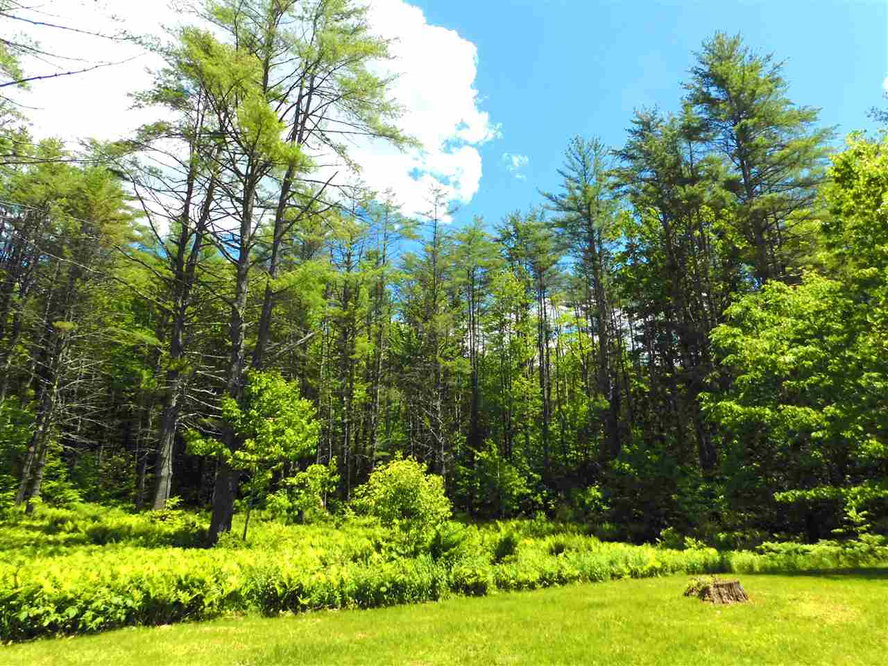 34 Reservoir Road Chester, VT 05143 - Photo 14 of 14