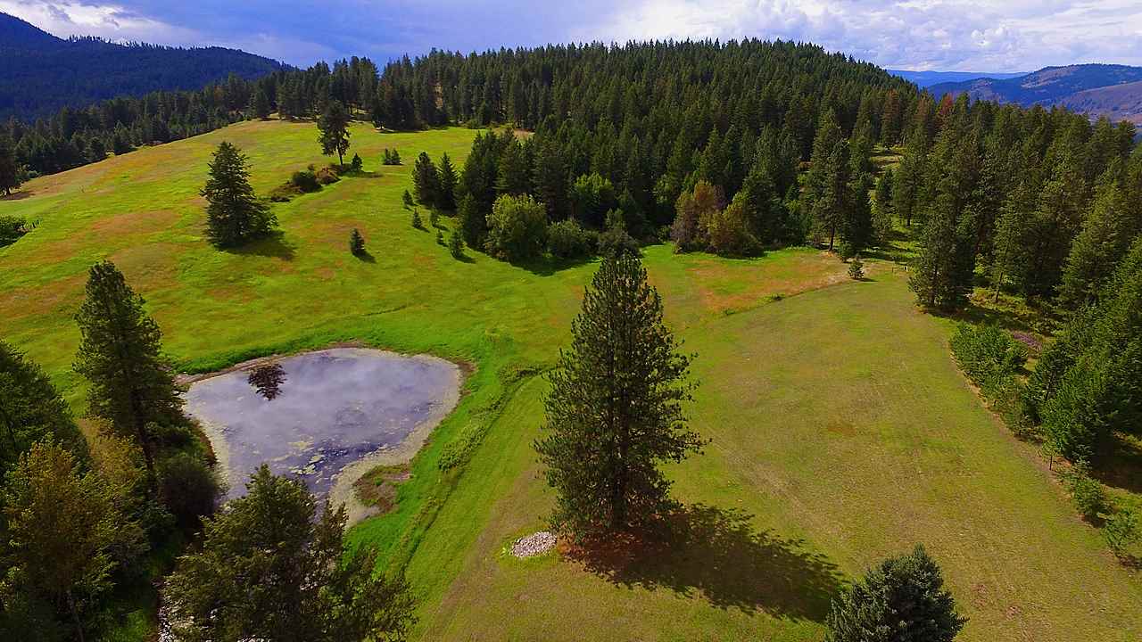 485 B Gold Creek Loop Road Colville, WA 99114 - Photo 3 of 20