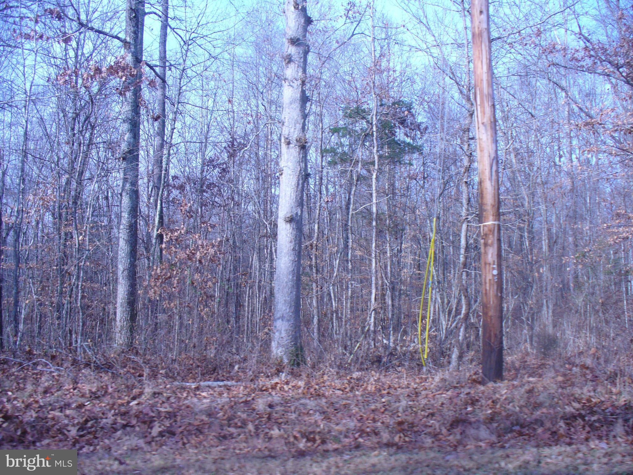 Countryside Road Lignum, VA 22726 - Photo 1 of 1 Exterior (General)