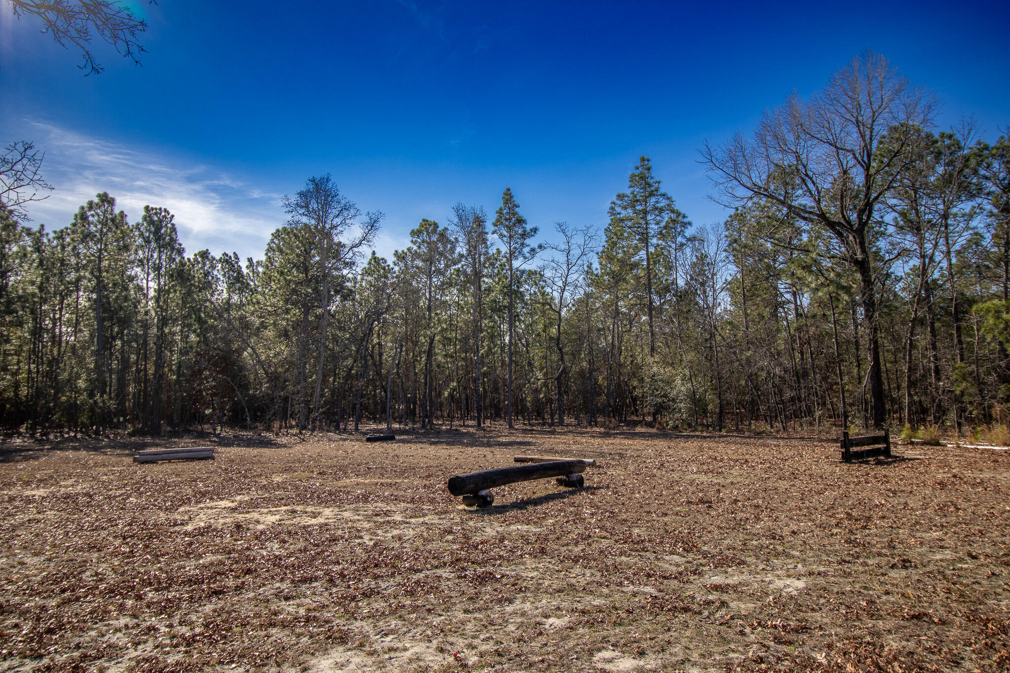 571 Oak Ridge Club Road Windsor, SC 29856 - Photo 105 of 107