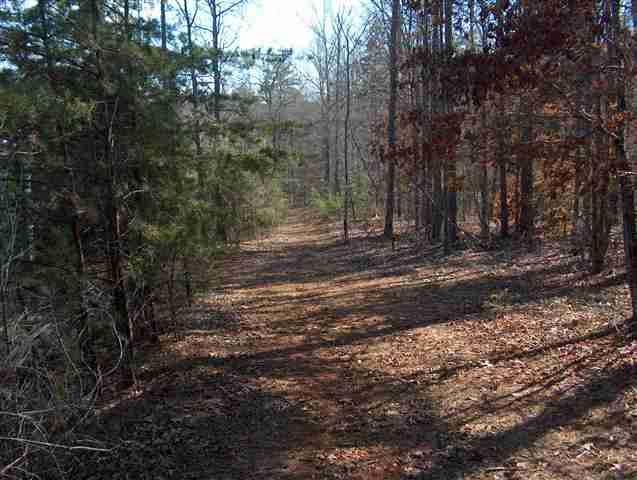 107 Smokey Haze Road Pickens, SC 29671 - Photo 24 of 25