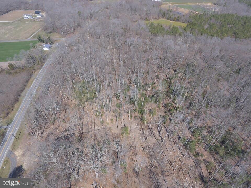 24060 Maddox Road Chaptico, MD 20621 - Photo 22 of 28 View