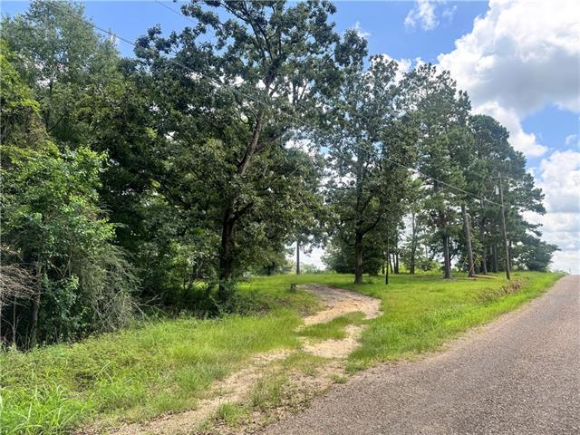 72045 South Lewiston Road Kentwood, LA 70444 - Photo 7 of 17