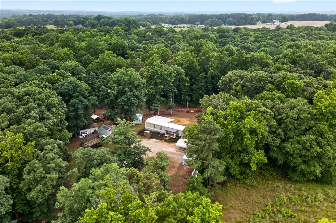 1757 Old Dobbin Bridge Road Townville, SC 29689 - Photo 35 of 36