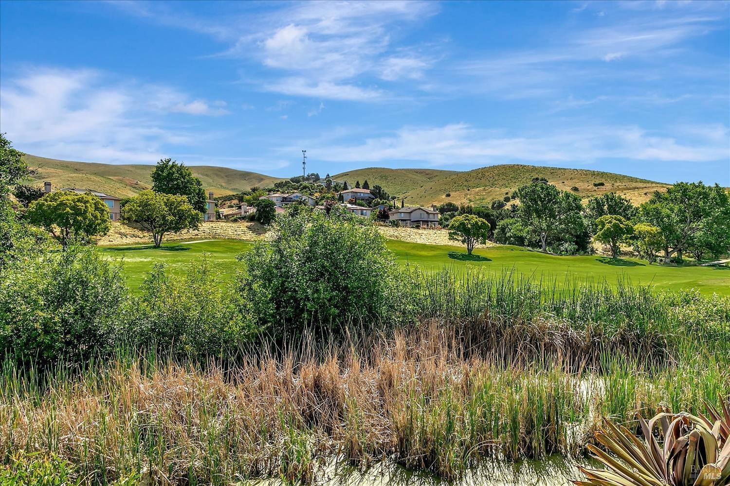 4180 Summer Gate Avenue Vallejo, CA 94591 - Photo 52 of 52 a view of a lake with a house in the background
