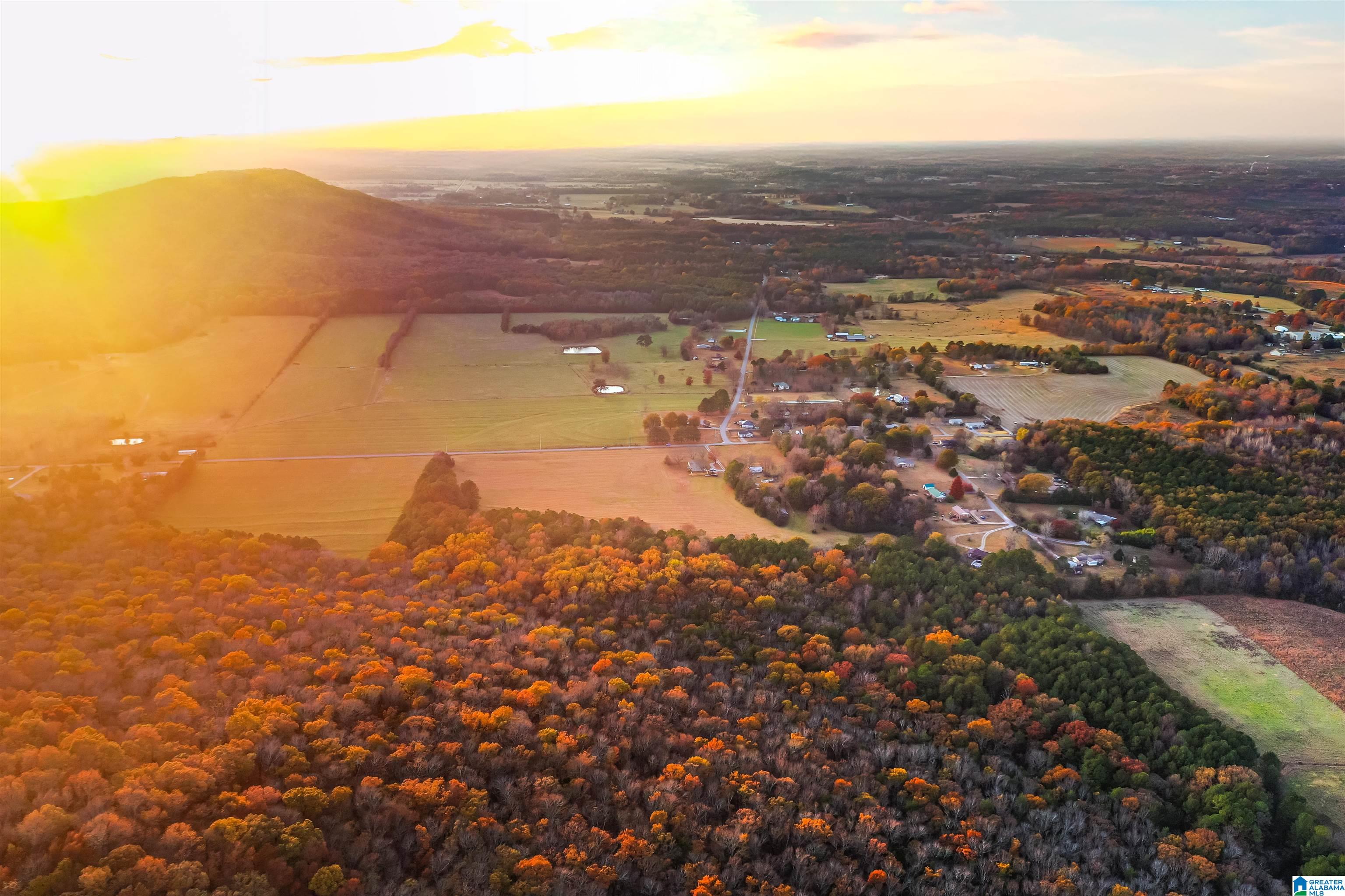 0 Old Six Mile Road, Unit 103 Somerville, AL 35670 - Photo 14 of 17