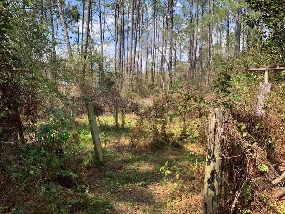 26264 Feely Road Elberta, AL 36530 - Photo 15 of 30
