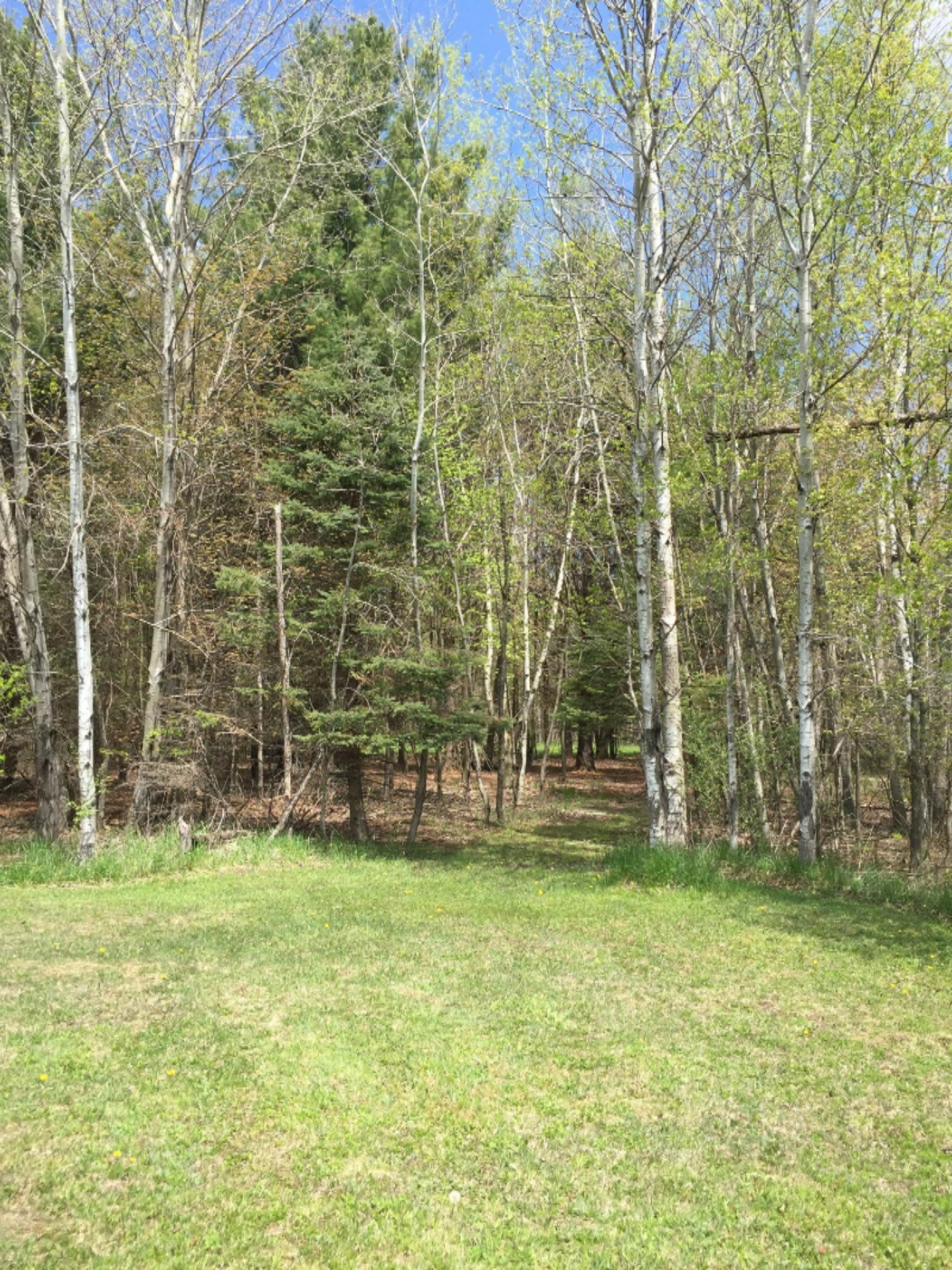 1667 Berridge Road Greenville, MI 48838 - Photo 5 of 5 berridge5