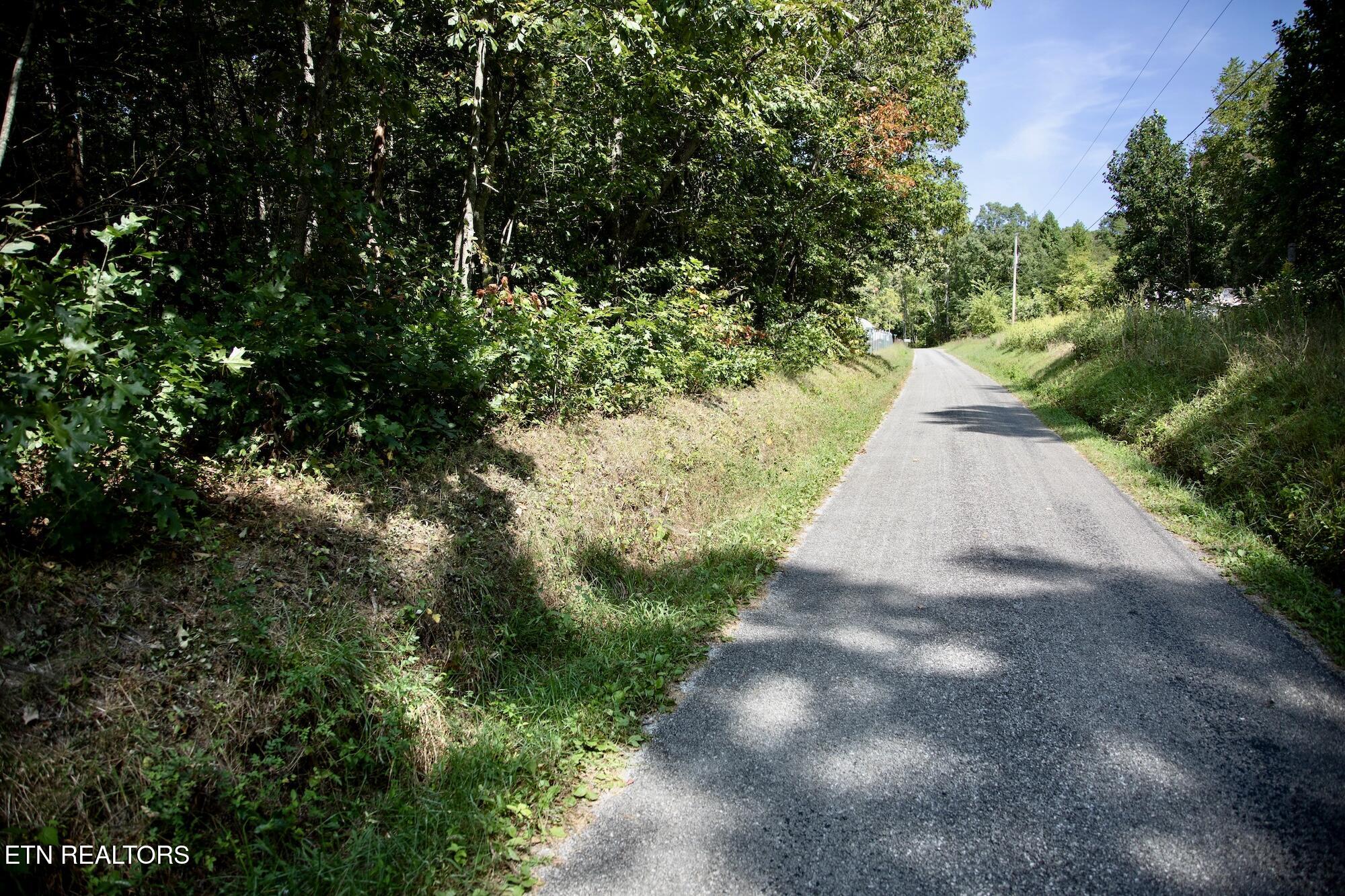 160 John Cox Road Deer Lodge, TN 37726 - Photo 6 of 17 6