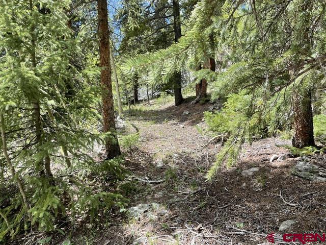 766 Rd Pitkin Co 81241 Road Ohio City, CO 81237 - Photo 7 of 18