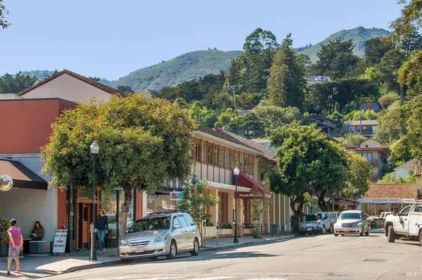 $35,000 | 162 Throckmorton Avenue, Mill Valley, CA 94941