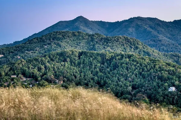 $35,000 | 162 Throckmorton Avenue, Mill Valley, CA 94941